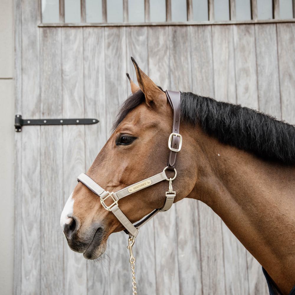 Kentucky Horsewear Anatomic Nylon Halter - Equiluxe Tack
