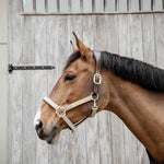 Kentucky Horsewear Anatomic Nylon Halter - Equiluxe Tack