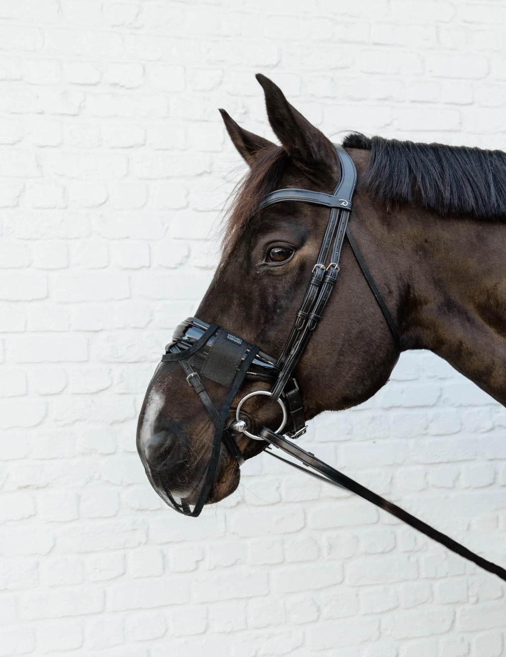 Kentucky Horsewear Anti Fly Nose Net - Equiluxe Tack