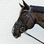 Kentucky Horsewear Anti Fly Nose Net - Equiluxe Tack