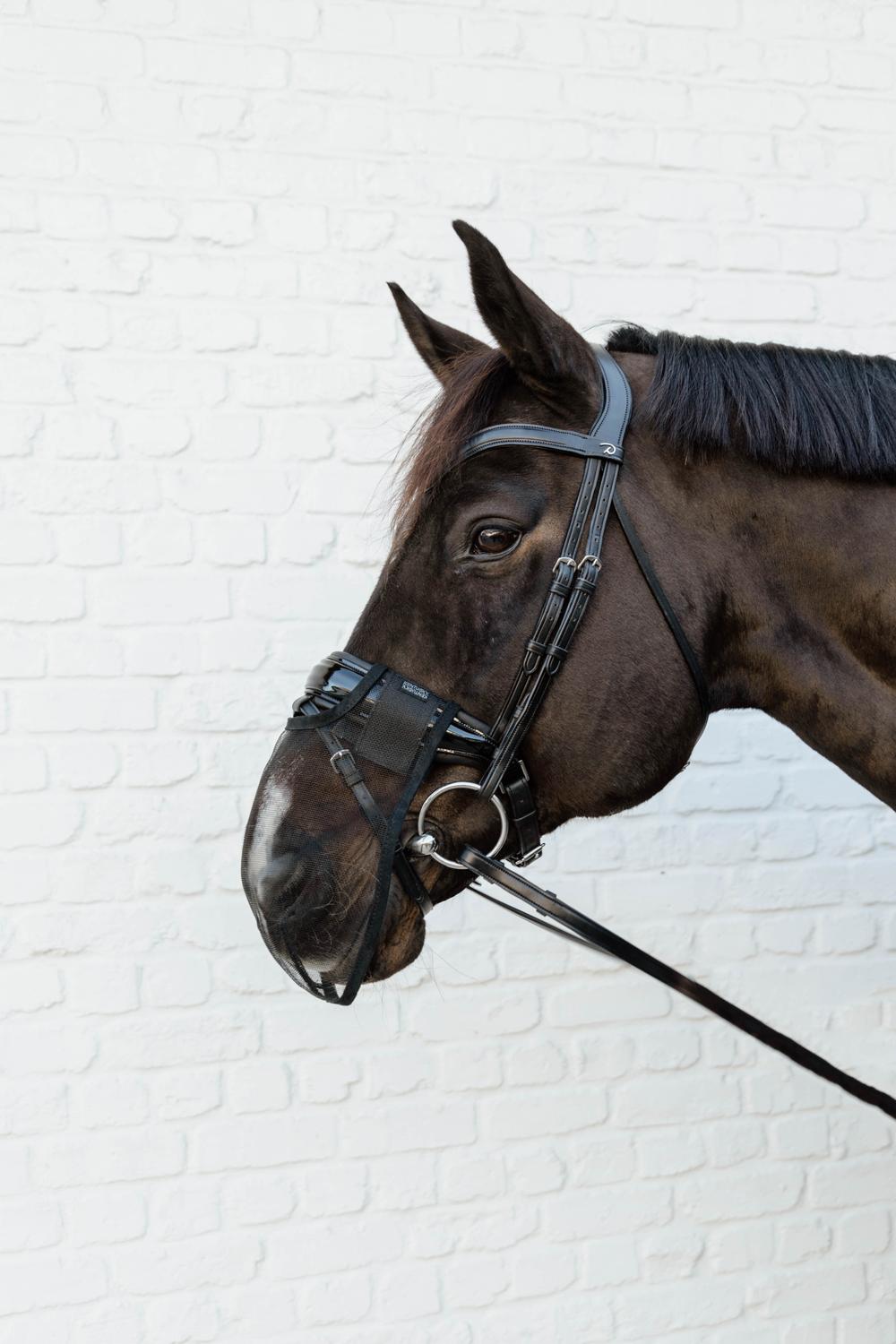 Kentucky Horsewear Anti Fly Nose Net - Equiluxe Tack