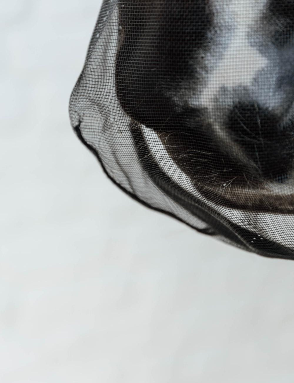 Kentucky Horsewear Anti Fly Nose Net - Equiluxe Tack