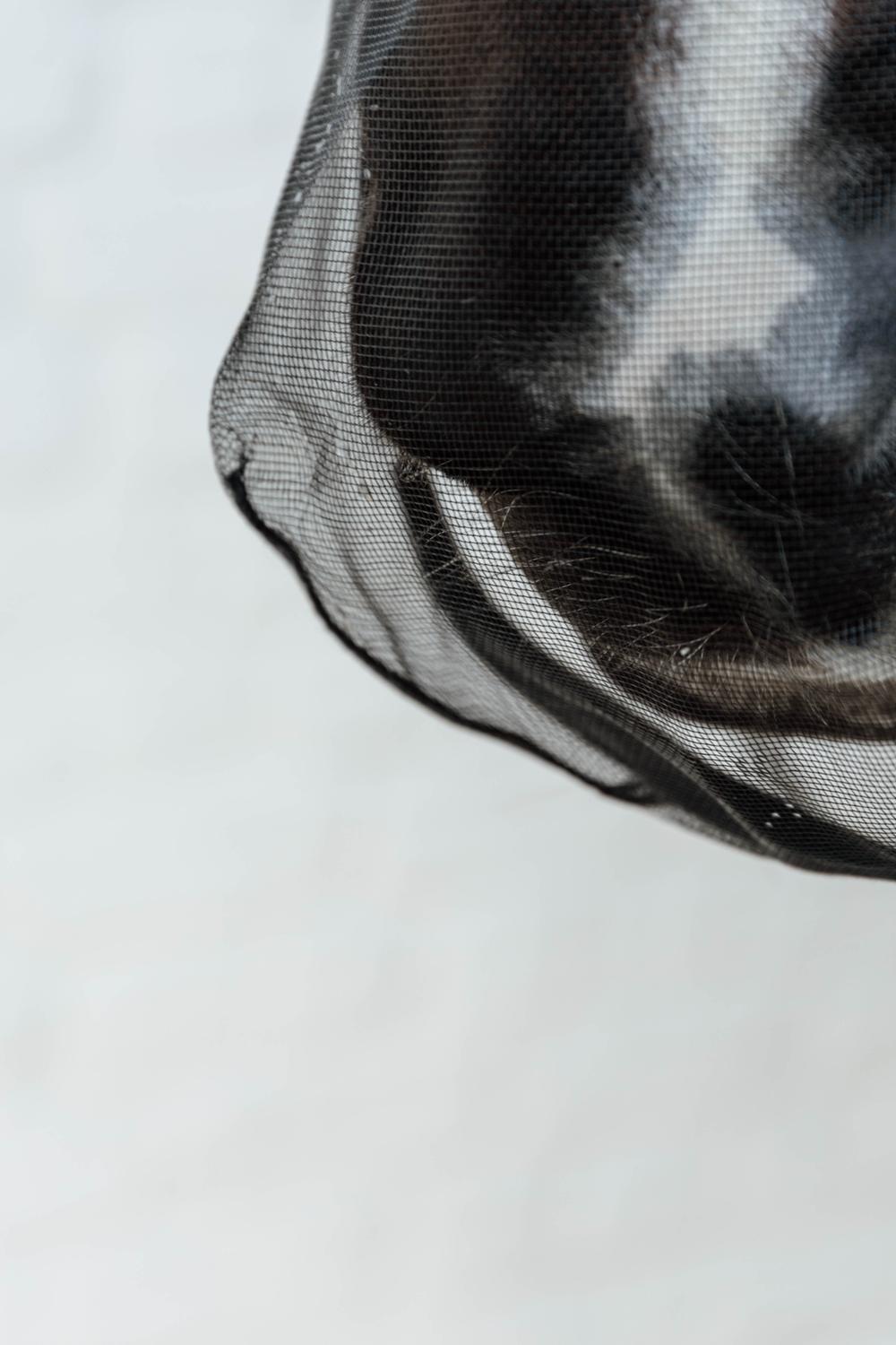 Kentucky Horsewear Anti Fly Nose Net - Equiluxe Tack