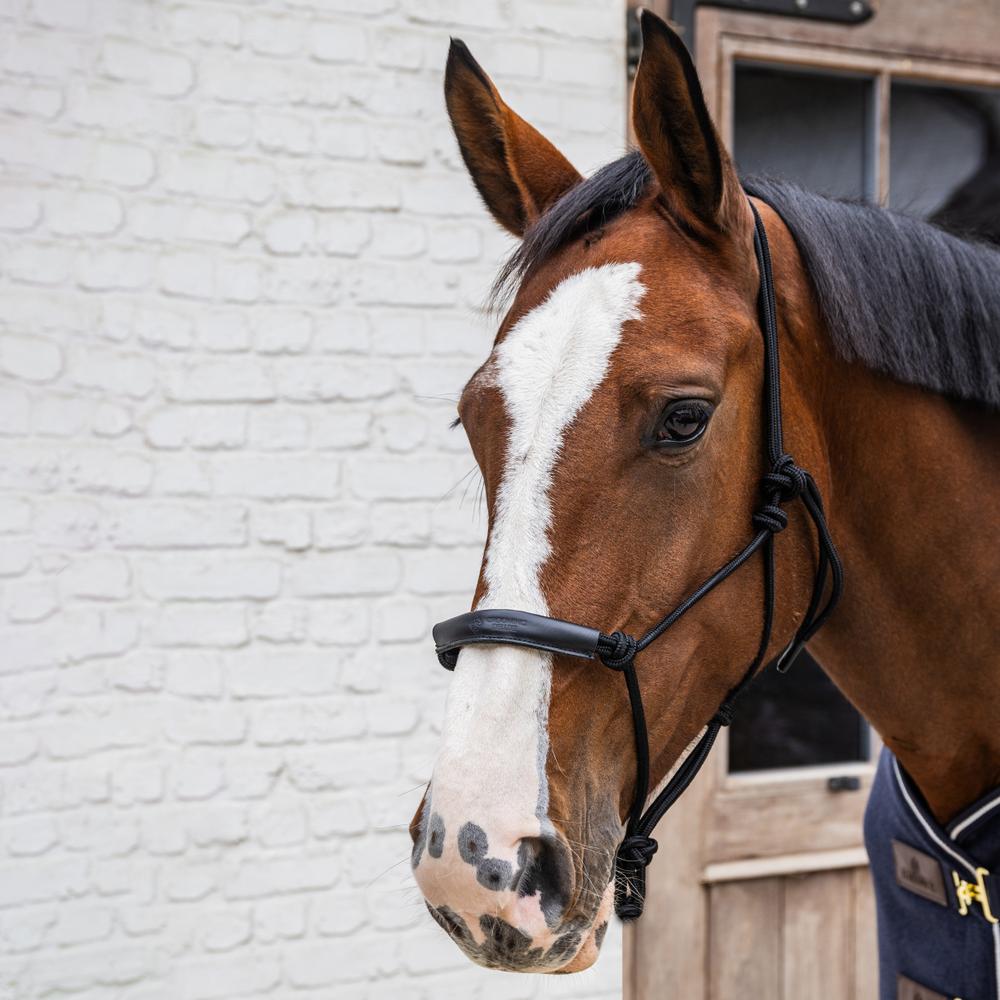 Kentucky Horsewear Classic Rope Halter - Equiluxe Tack