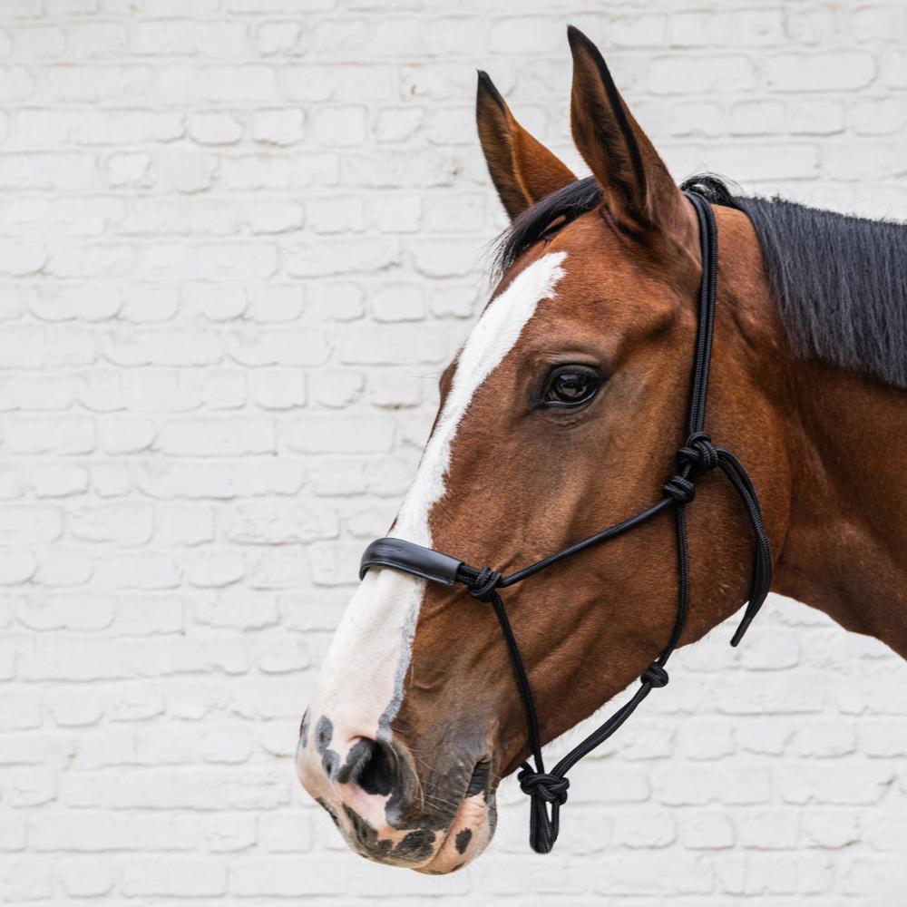 Kentucky Horsewear Classic Rope Halter - Equiluxe Tack