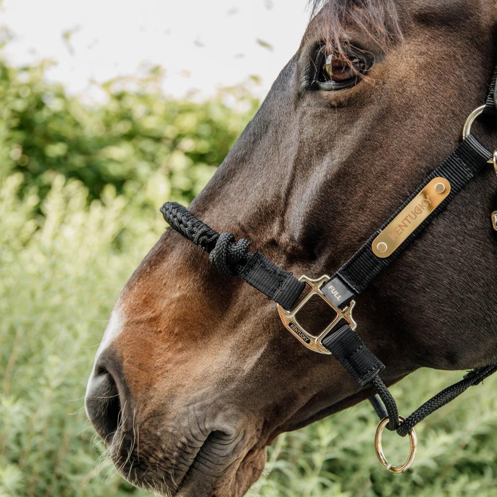Kentucky Horsewear Control Halter Neck Piece - Equiluxe Tack