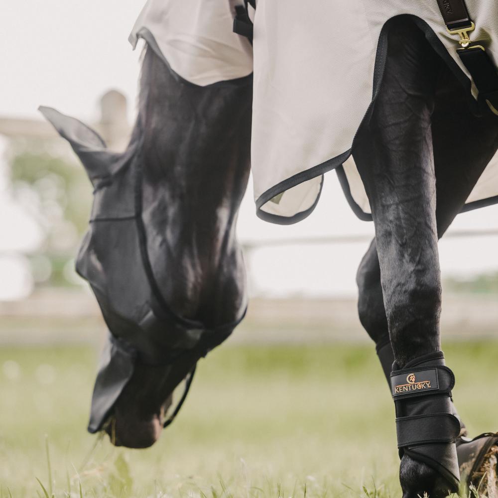 Kentucky Horsewear Fly Mask Classic with Ears & Nose - Equiluxe Tack