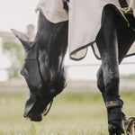 Kentucky Horsewear Fly Mask Classic with Ears & Nose - Equiluxe Tack