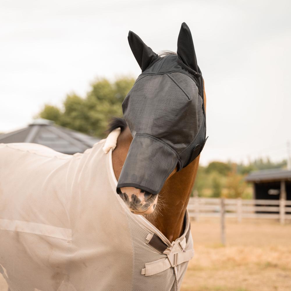 Kentucky Horsewear Fly Mask Pro Strong with Ears & Nose Black - Equiluxe Tack