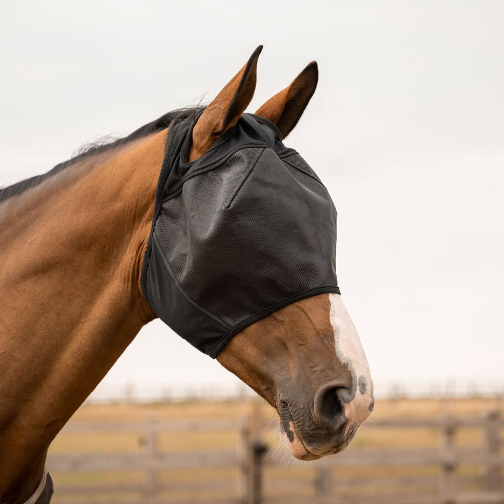 Kentucky Horsewear Fly Mask Pro Strong Without Ears Black - Equiluxe Tack