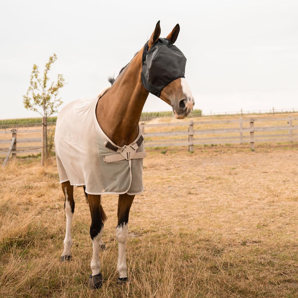 Kentucky Horsewear Fly Mask Pro Strong Without Ears Black - Equiluxe Tack