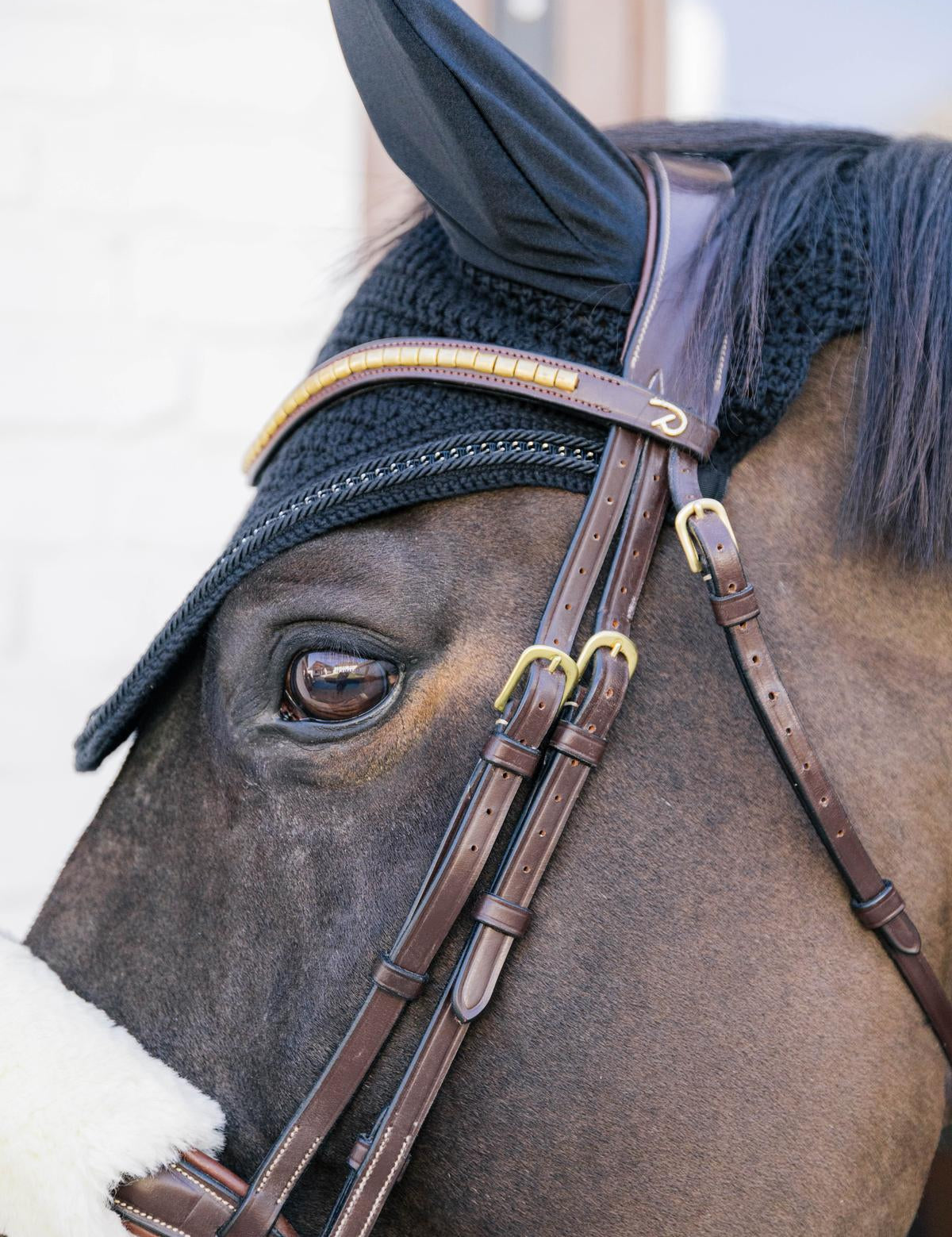 Kentucky Horsewear Fly Veil Wellington Metal Chain - Black - Kentucky Horsewear - Equiluxe Tack