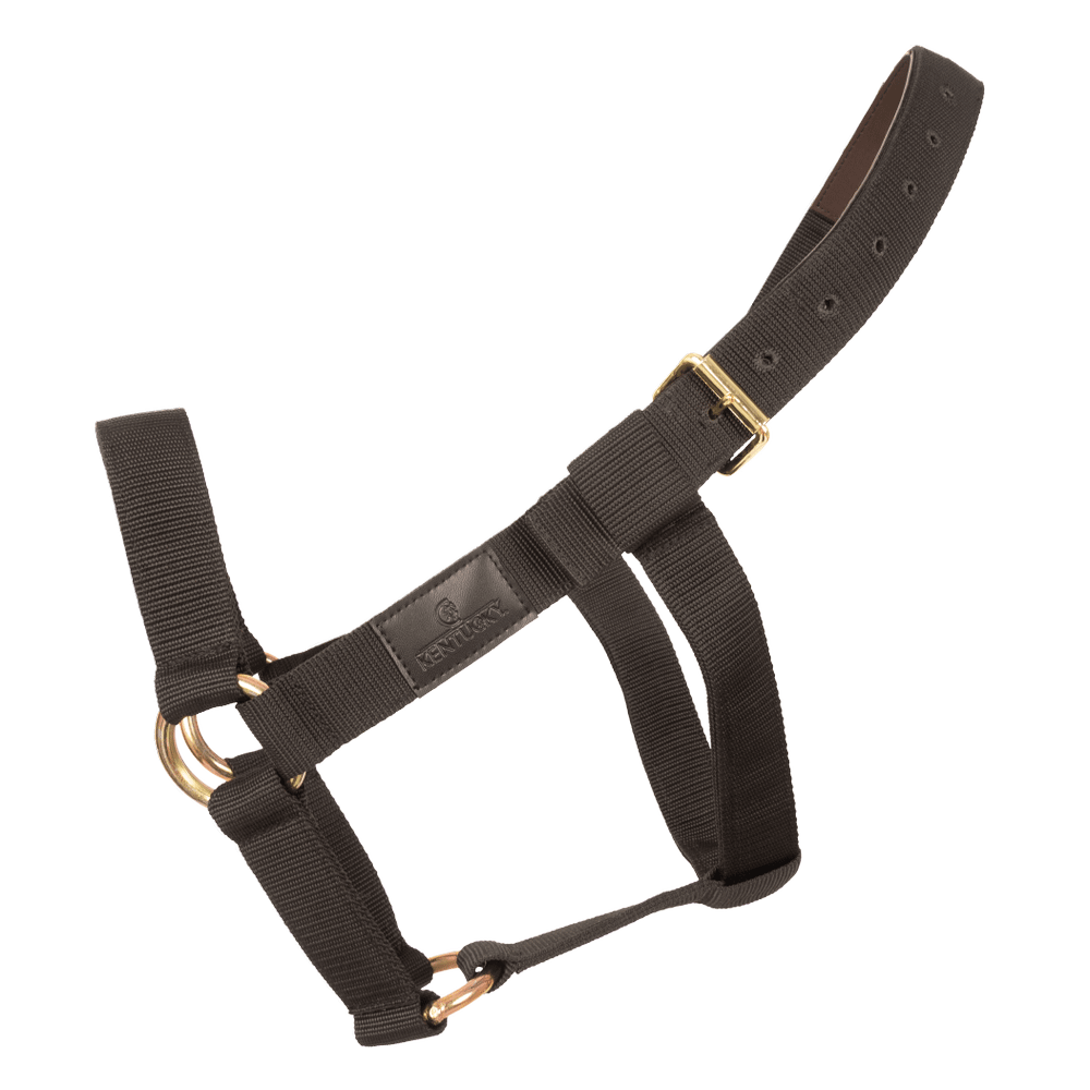 Kentucky Horsewear Heavy Duty Halter - Equiluxe Tack