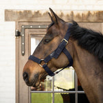 Kentucky Horsewear Heavy Duty Halter - Equiluxe Tack