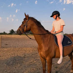 Kentucky Horsewear Heavy Duty Halter - Equiluxe Tack