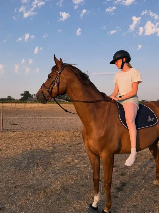Kentucky Horsewear Heavy Duty Halter - Equiluxe Tack