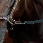 Kentucky Horsewear Horse Box Lead & Cross Ties Safety Black - Equiluxe Tack