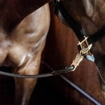 Kentucky Horsewear Horse Box Lead & Cross Ties Silicone - Equiluxe Tack
