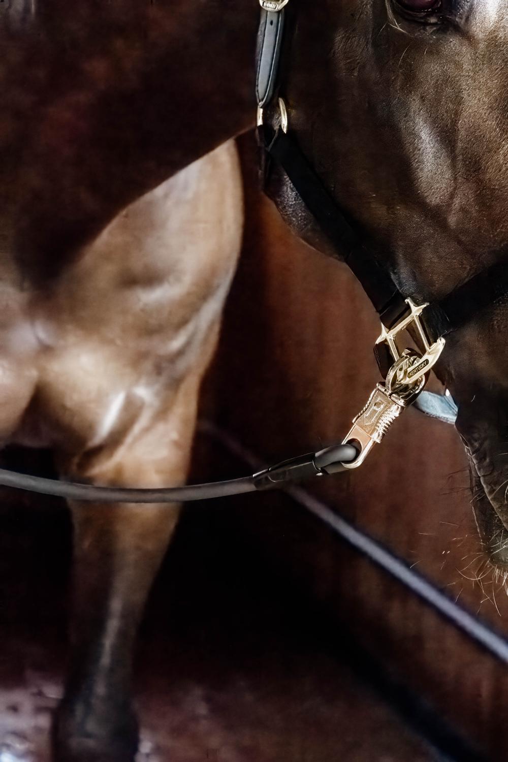 Kentucky Horsewear Horse Box Lead & Cross Ties Silicone - Equiluxe Tack
