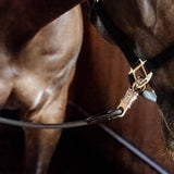 Kentucky Horsewear Horse Box Lead & Cross Ties Silicone - Equiluxe Tack
