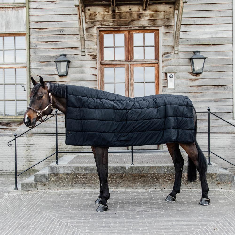 Kentucky Horsewear Horse Duvet 300g - Equiluxe Tack