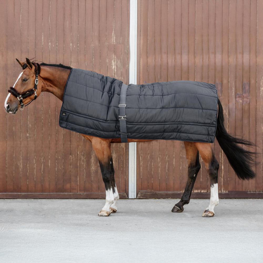 Kentucky Horsewear Horse Duvet 300g - Equiluxe Tack