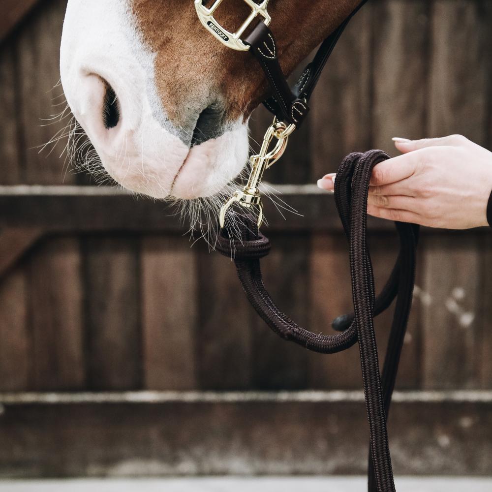 Kentucky Horsewear Lead Rope Loop - Equiluxe Tack