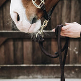 Kentucky Horsewear Lead Rope Loop - Equiluxe Tack