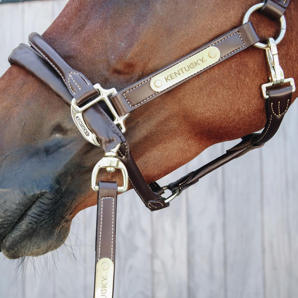 Kentucky Horsewear Leather Covered Chain Lead 2.7m - Equiluxe Tack