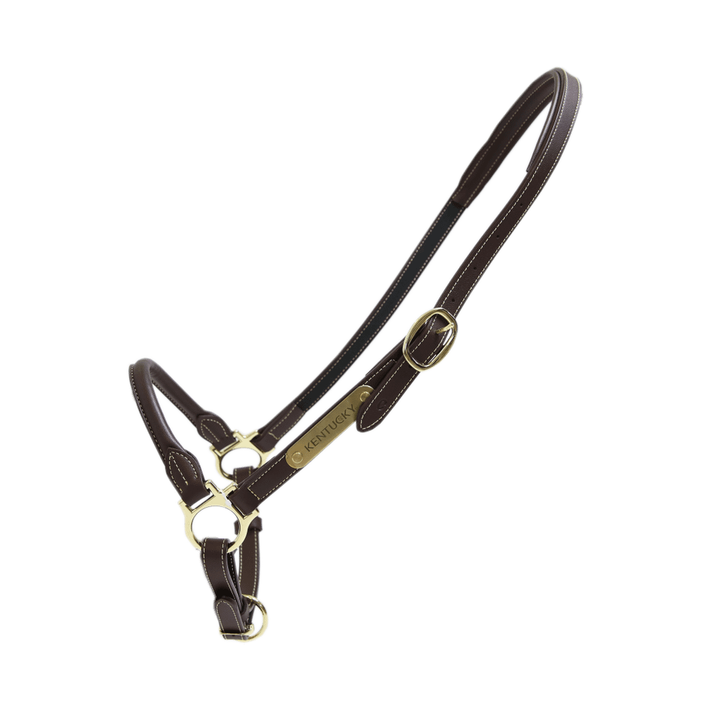 Kentucky Horsewear Leather Grooming Halter - Equiluxe Tack