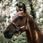 Kentucky Horsewear Leather Halter Flexible Brown - Equiluxe Tack