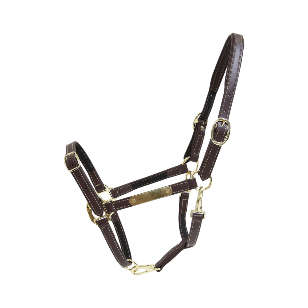 Kentucky Horsewear Leather Halter Flexible Brown - Equiluxe Tack
