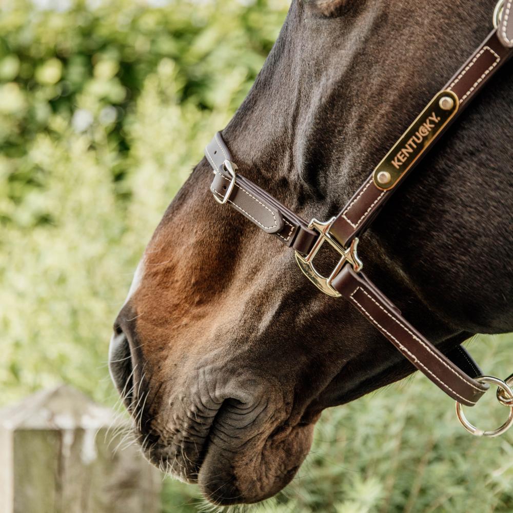 Kentucky Horsewear Leather Halter Flexible Neck Piece - Equiluxe Tack