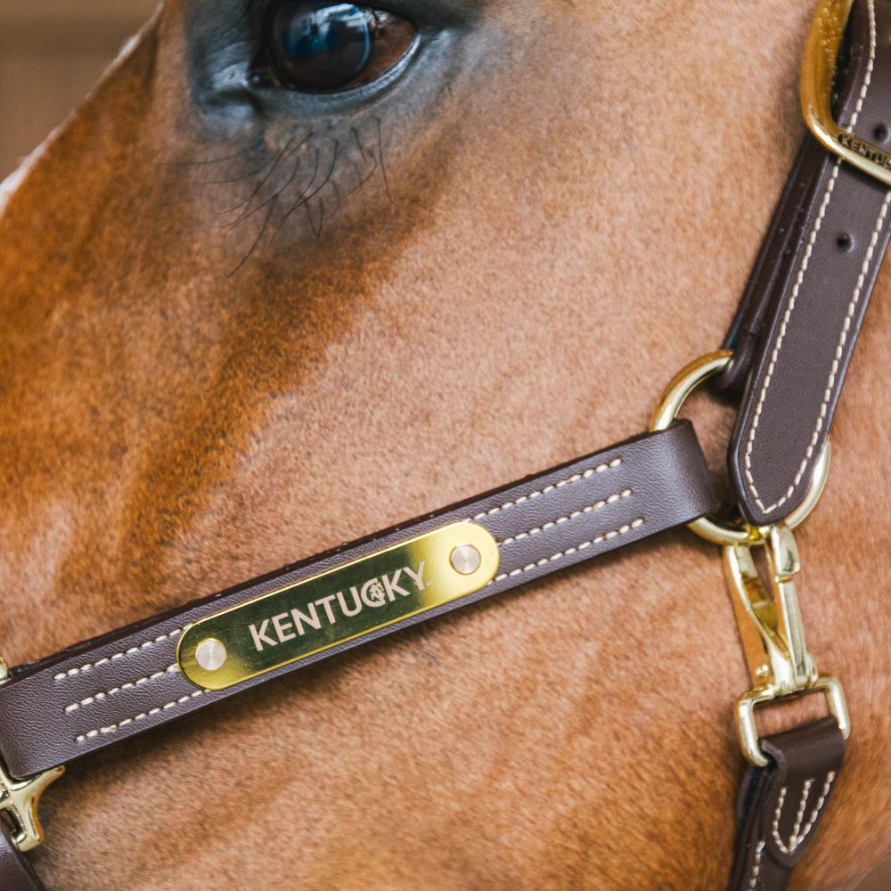 Kentucky Horsewear Leather Halter Wellington - Equiluxe Tack