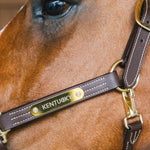 Kentucky Horsewear Leather Halter Wellington - Equiluxe Tack