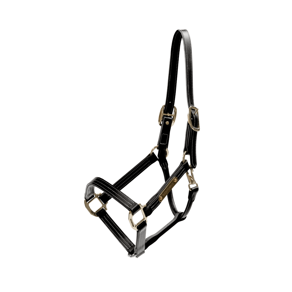 Kentucky Horsewear Leather Halter Wellington - Equiluxe Tack