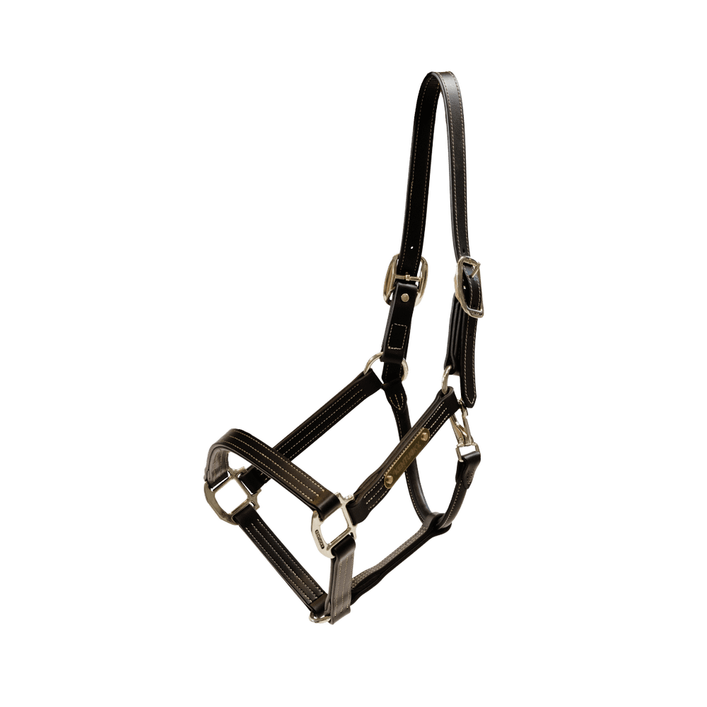 Kentucky Horsewear Leather Halter Wellington - Equiluxe Tack