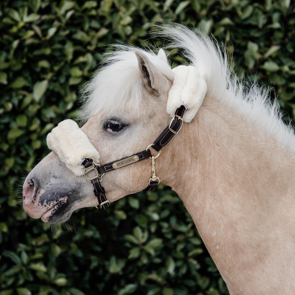 Kentucky Horsewear Leather Halter with Sheepskin - Equiluxe Tack