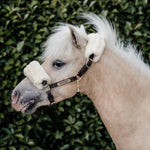 Kentucky Horsewear Leather Halter with Sheepskin - Equiluxe Tack