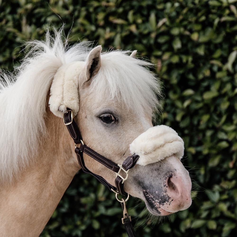 Kentucky Horsewear Leather Halter with Sheepskin - Equiluxe Tack