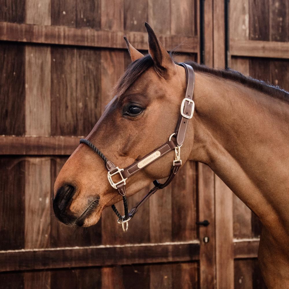 Kentucky Horsewear Leather Rope Halter - Equiluxe Tack