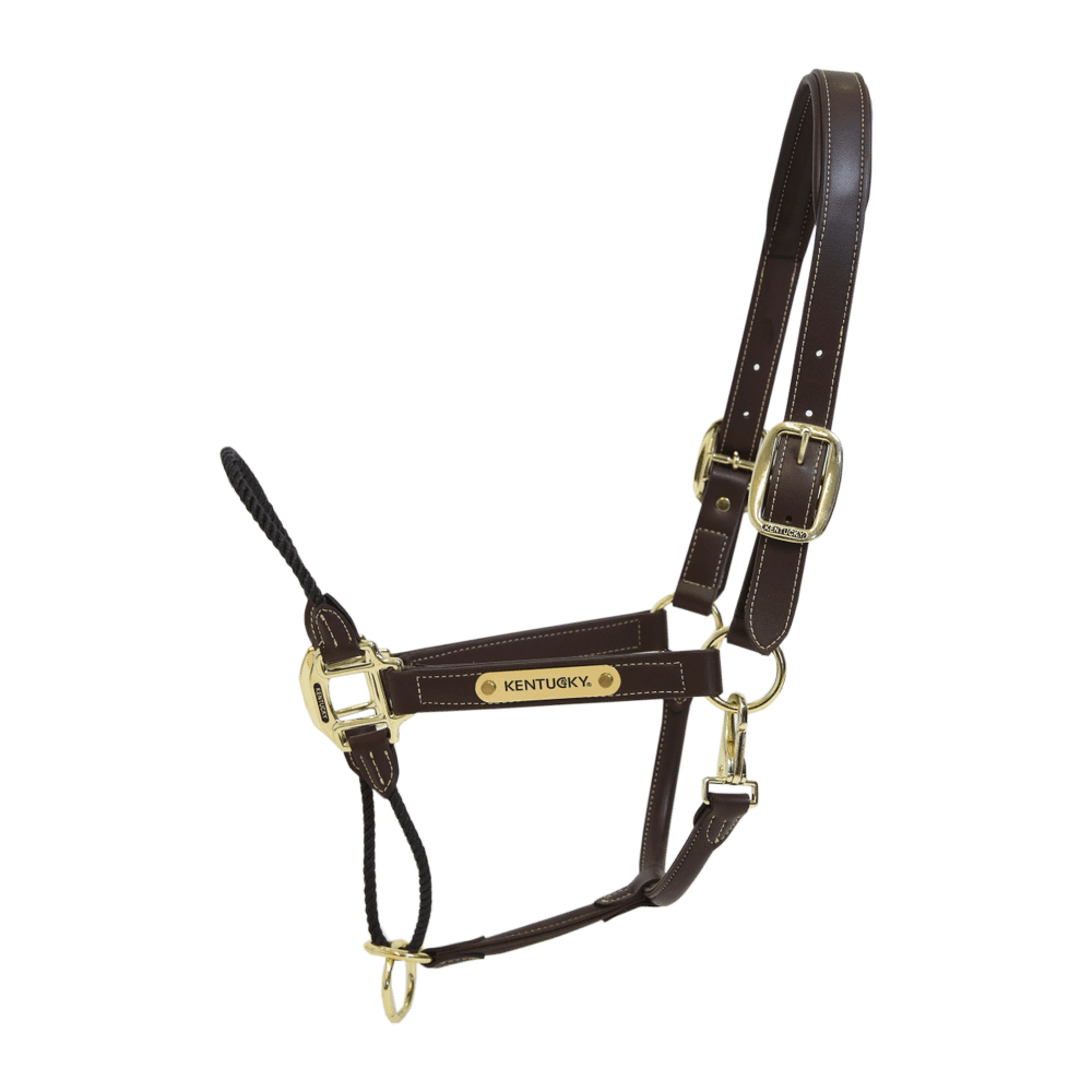 Kentucky Horsewear Leather Rope Halter - Kentucky Horsewear - Equiluxe Tack