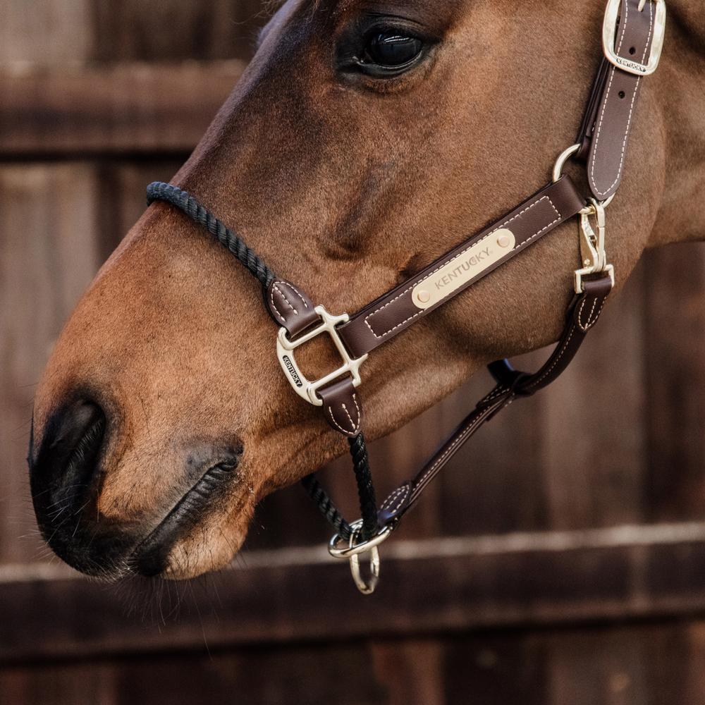 Kentucky Horsewear Leather Rope Halter - Equiluxe Tack