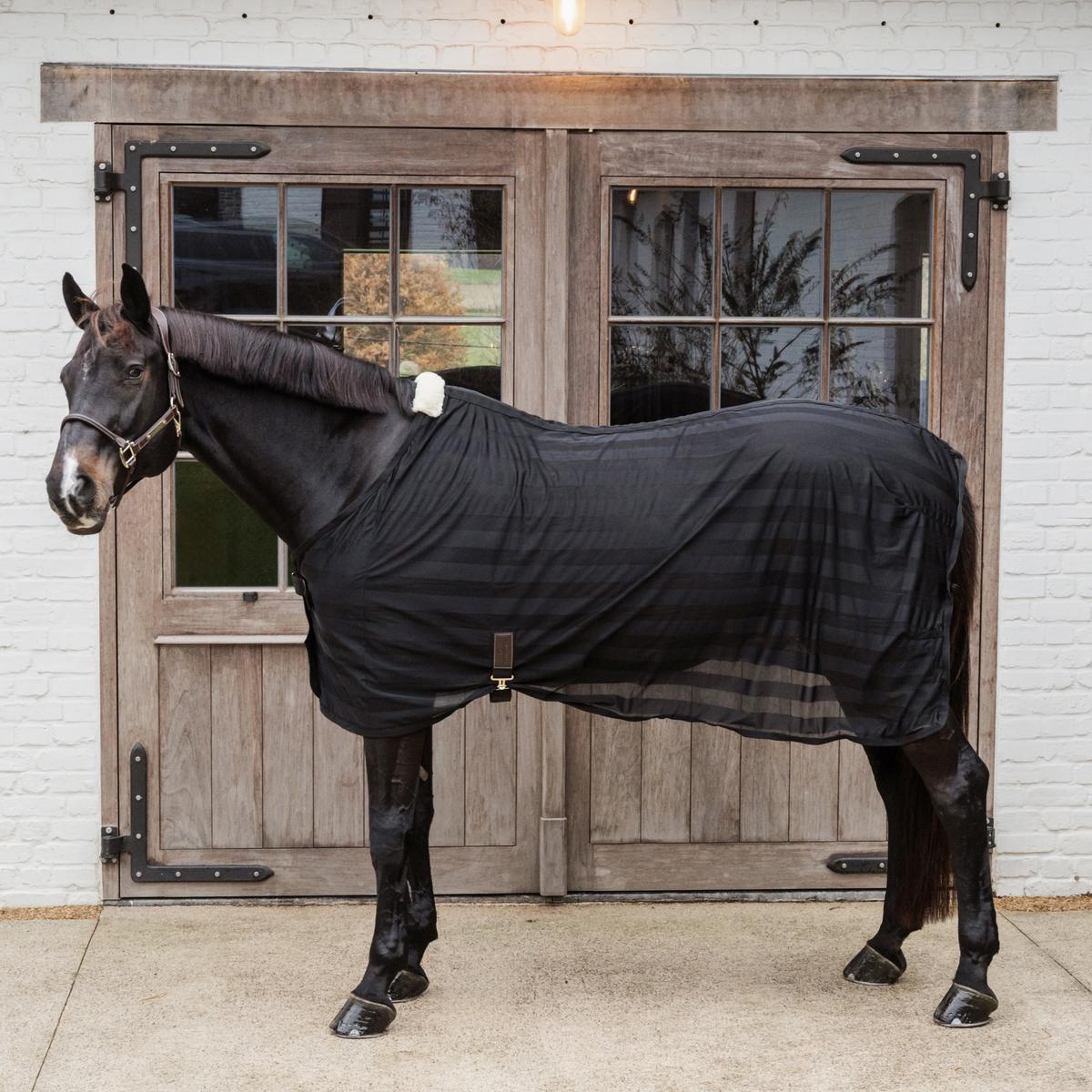 Kentucky Horsewear Light Mesh Fly Sheet - Equiluxe Tack