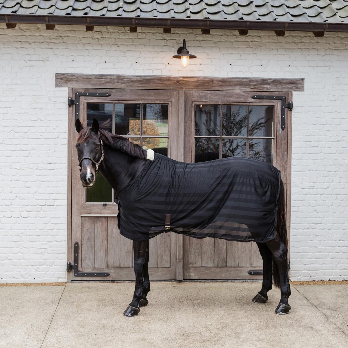 Kentucky Horsewear Light Mesh Fly Sheet - Equiluxe Tack
