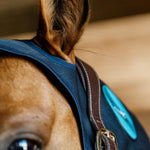 Kentucky Horsewear Magnetic Neck Protector Recuptex - Equiluxe Tack