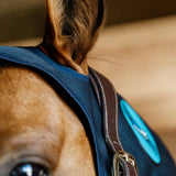 Kentucky Horsewear Magnetic Neck Protector Recuptex - Equiluxe Tack