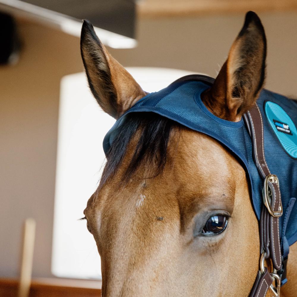 Kentucky Horsewear Magnetic Neck Protector Recuptex - Equiluxe Tack