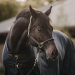 Kentucky Horsewear Mesh Fly Sheet - Equiluxe Tack