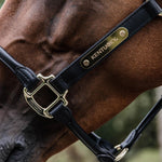 Kentucky Horsewear Name/Logo Plate Halter Gold - Equiluxe Tack
